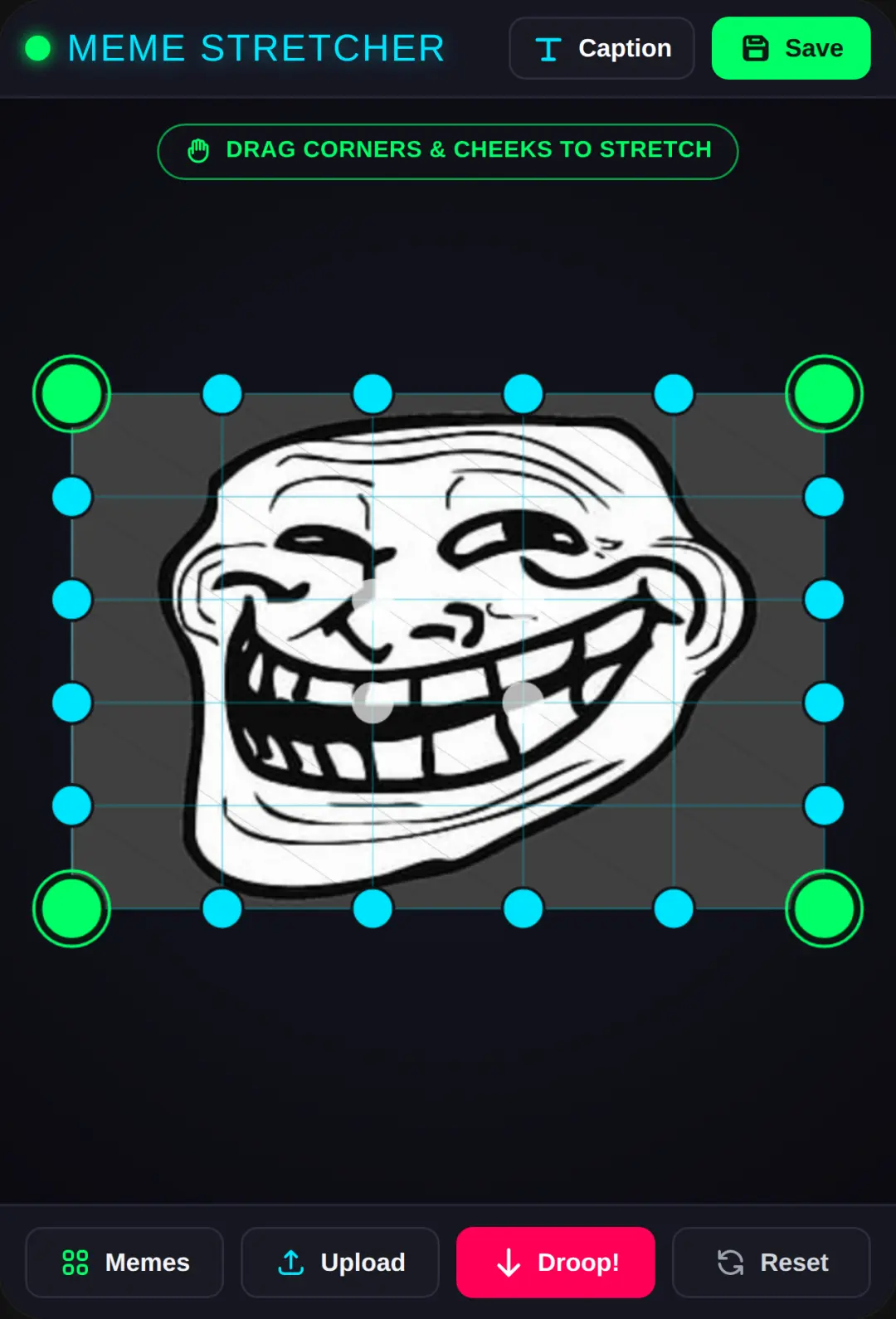 Meme Stretcher cover
