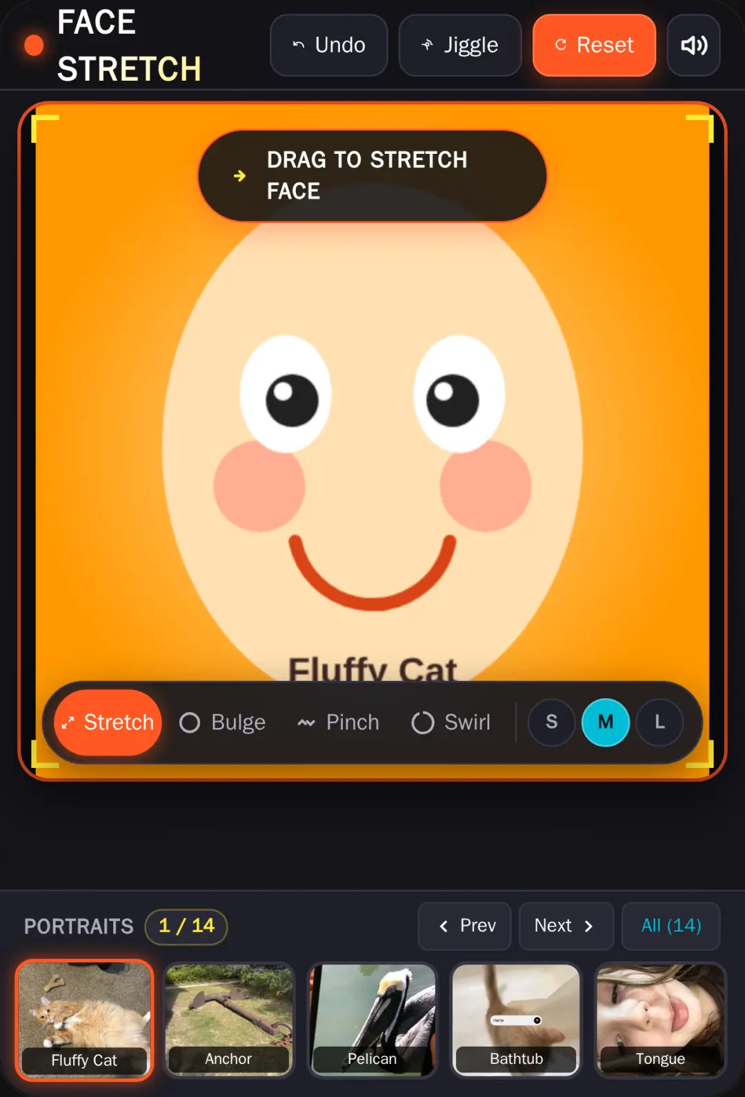 Face Stretch nont work sry cover