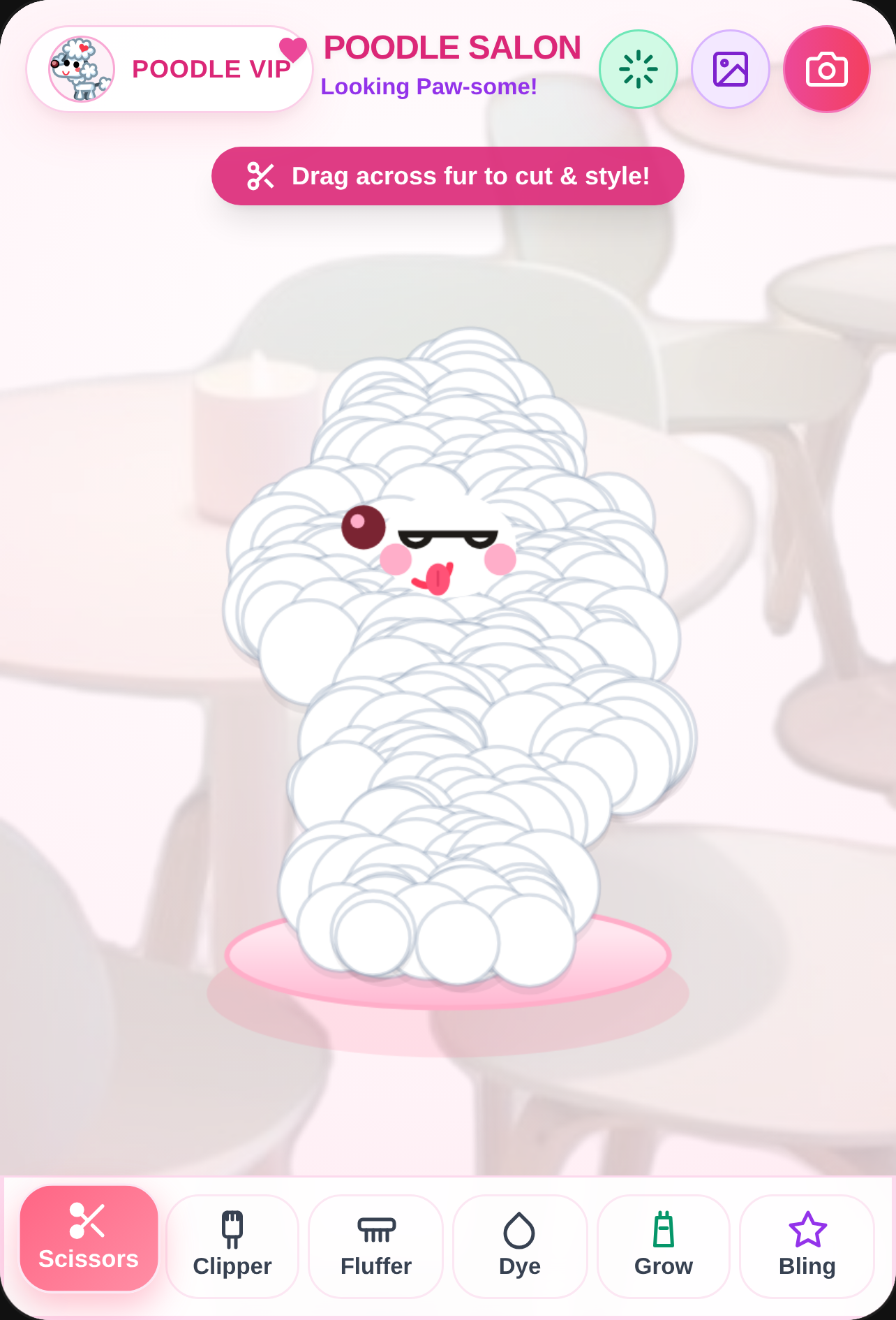 Poodle Dog Hair Salon & Fur Grooming Studio cover