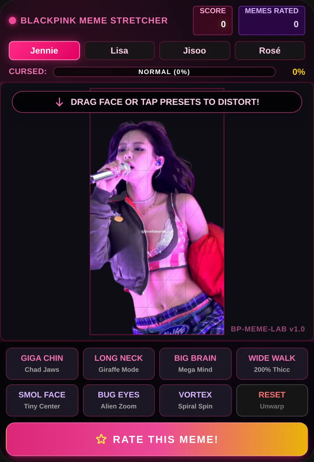 Blackpink Meme Stretcher cover