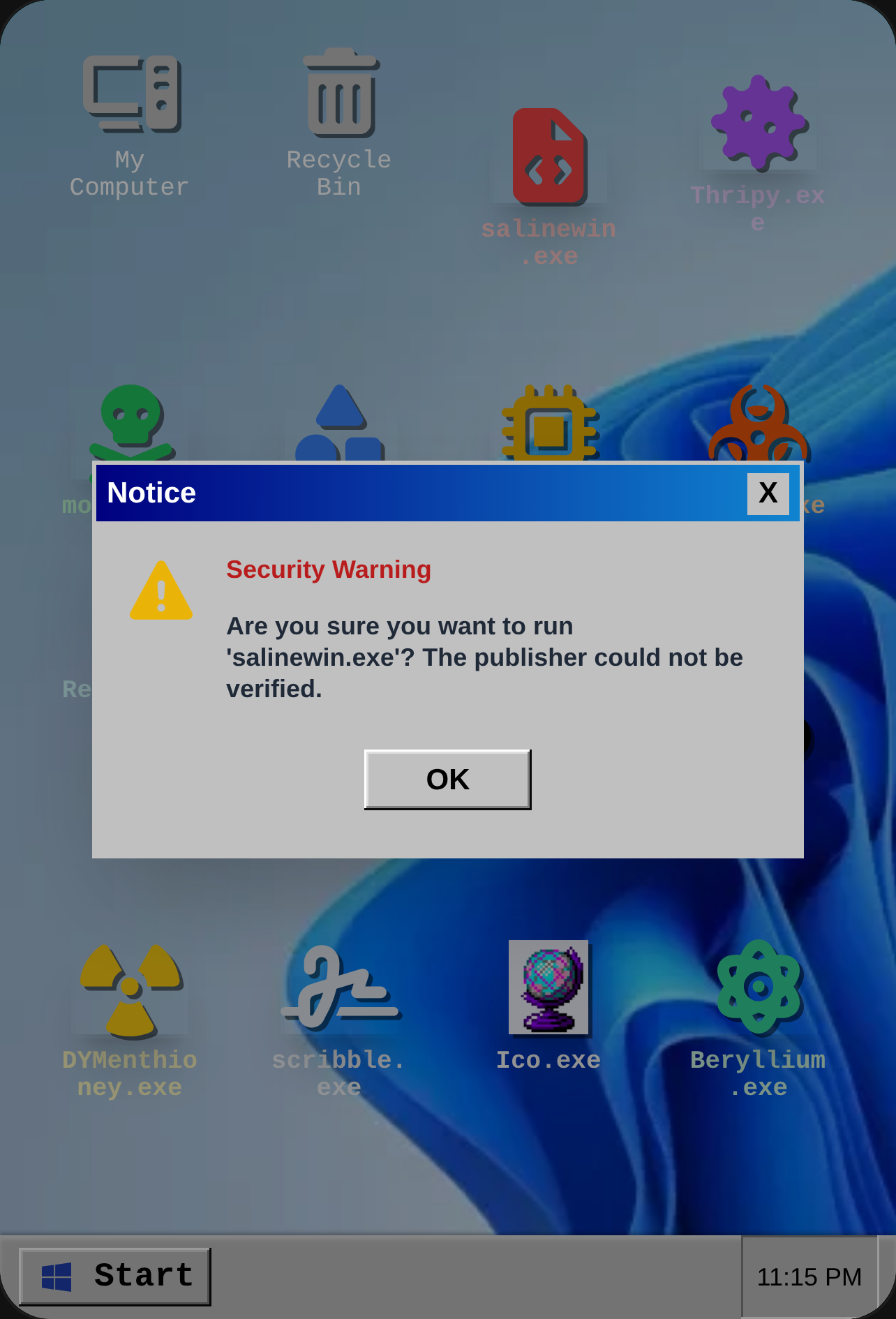Salinewin.exe cover