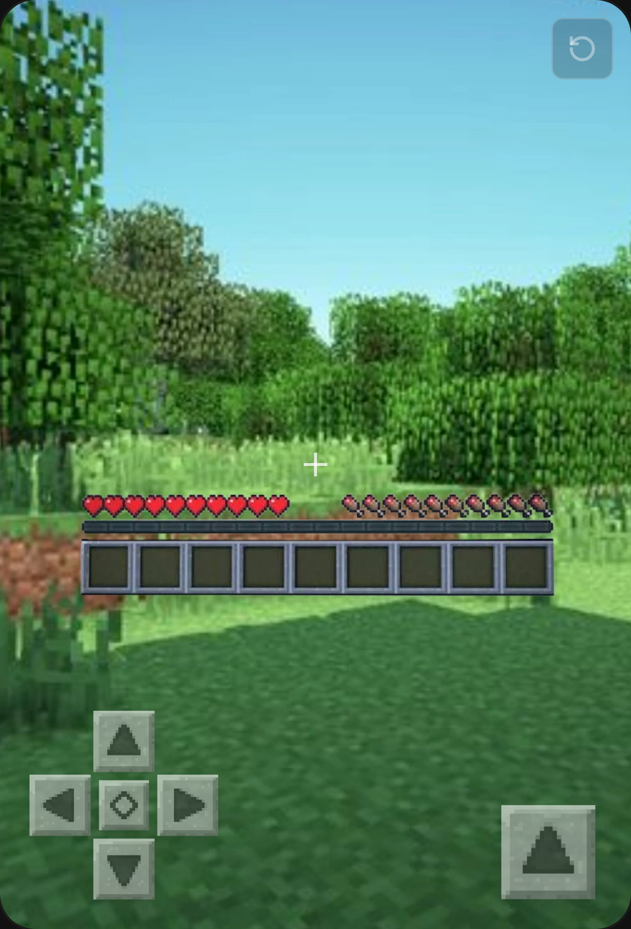 Minecraft Pocket Edition cover