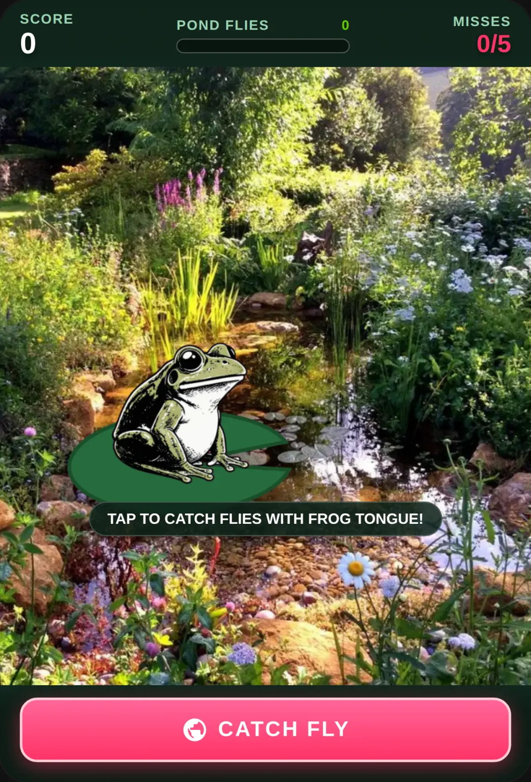 Frog Catch 2D cover