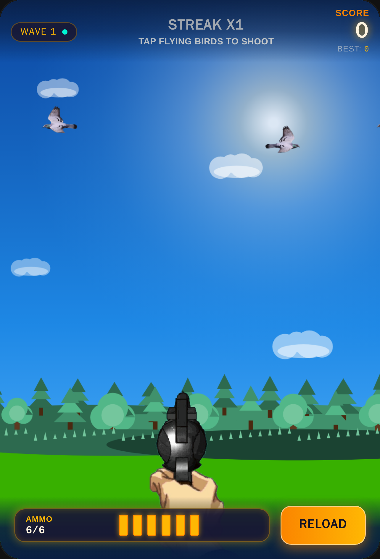 Urban Sky Bird Shoot cover