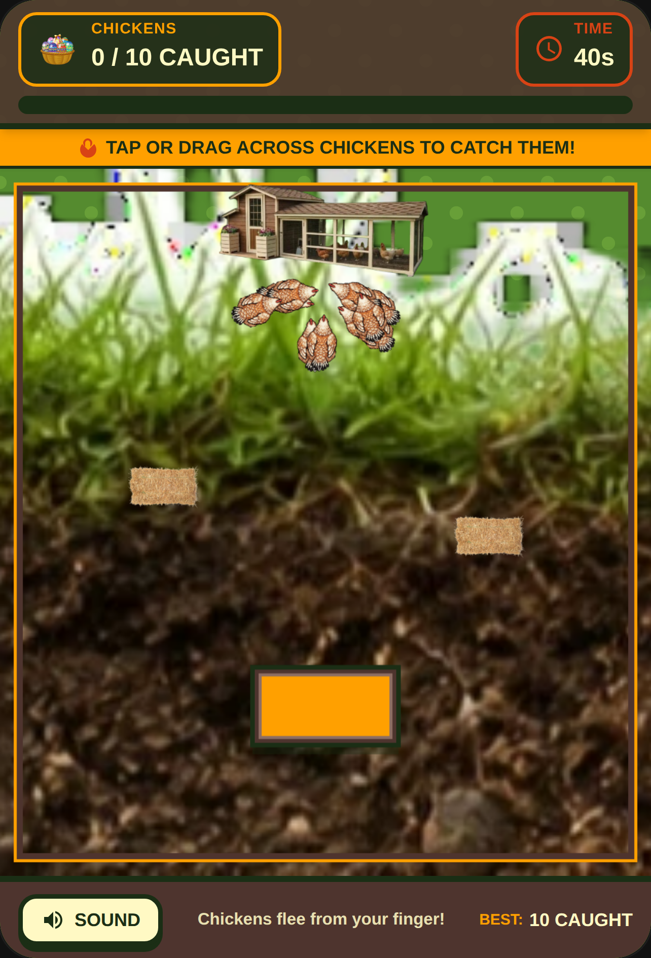 run chicken run! cover