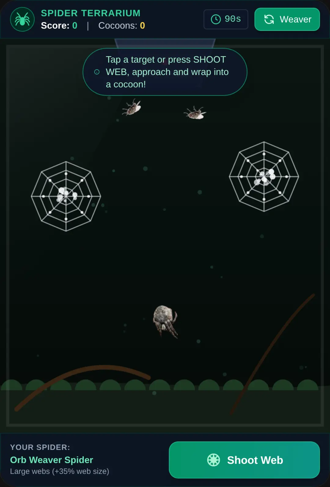 Spider Terrarium cover