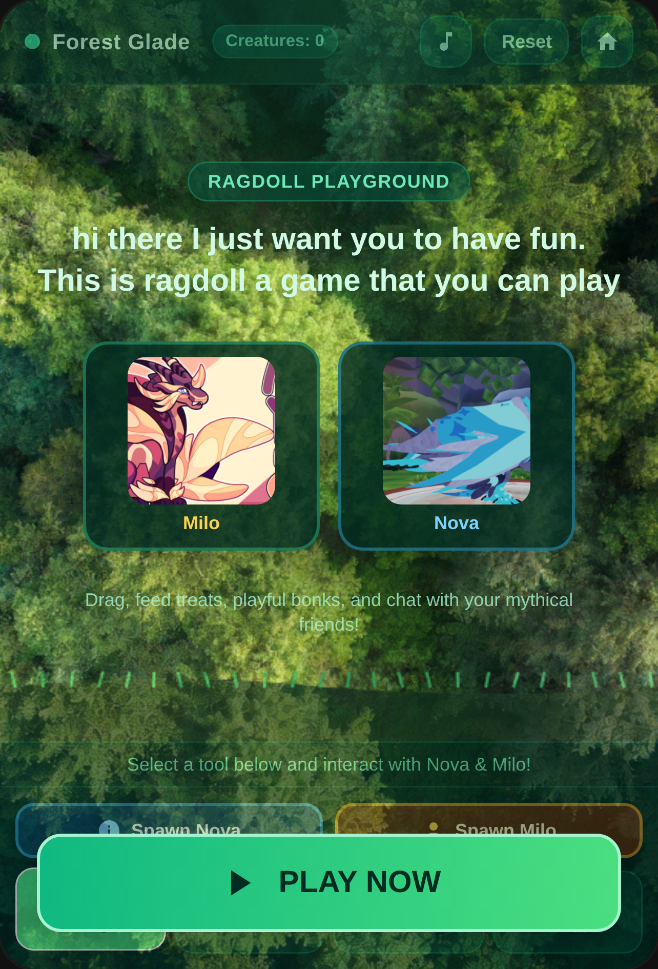 Ragdoll Forest Playground cover
