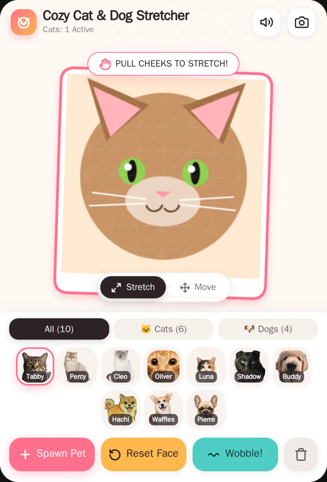 Cozy Cat Stretcher cover