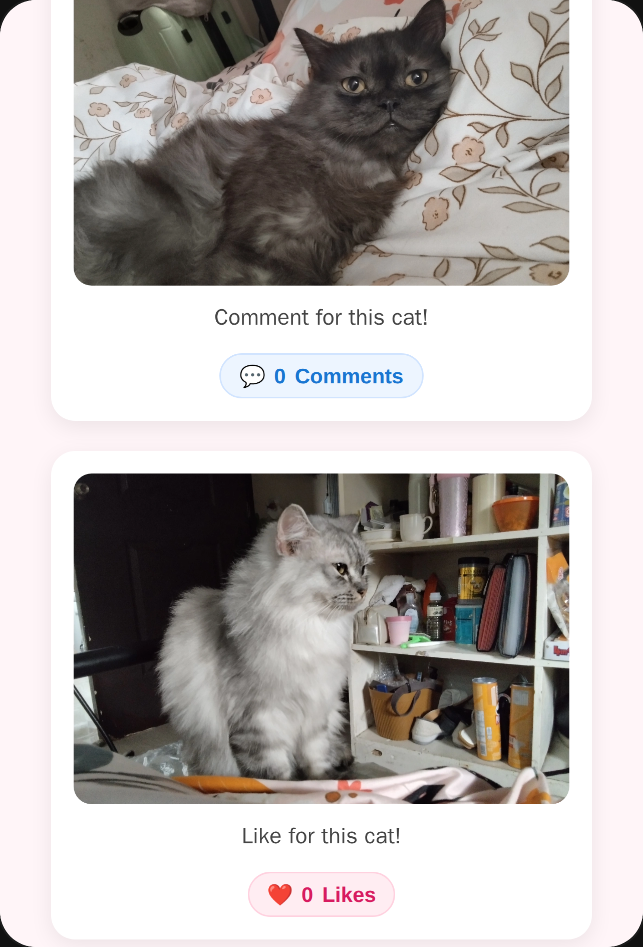 The cat rate cover