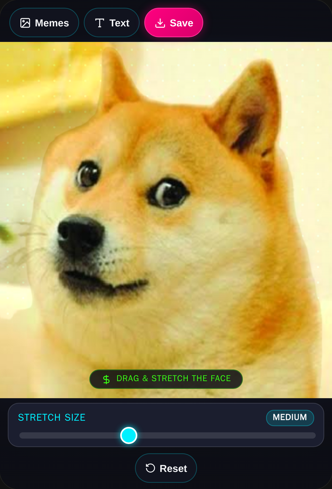 Meme Stretcher cover