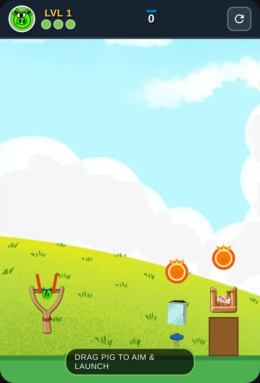 Bad Pork Physics Puzzler cover
