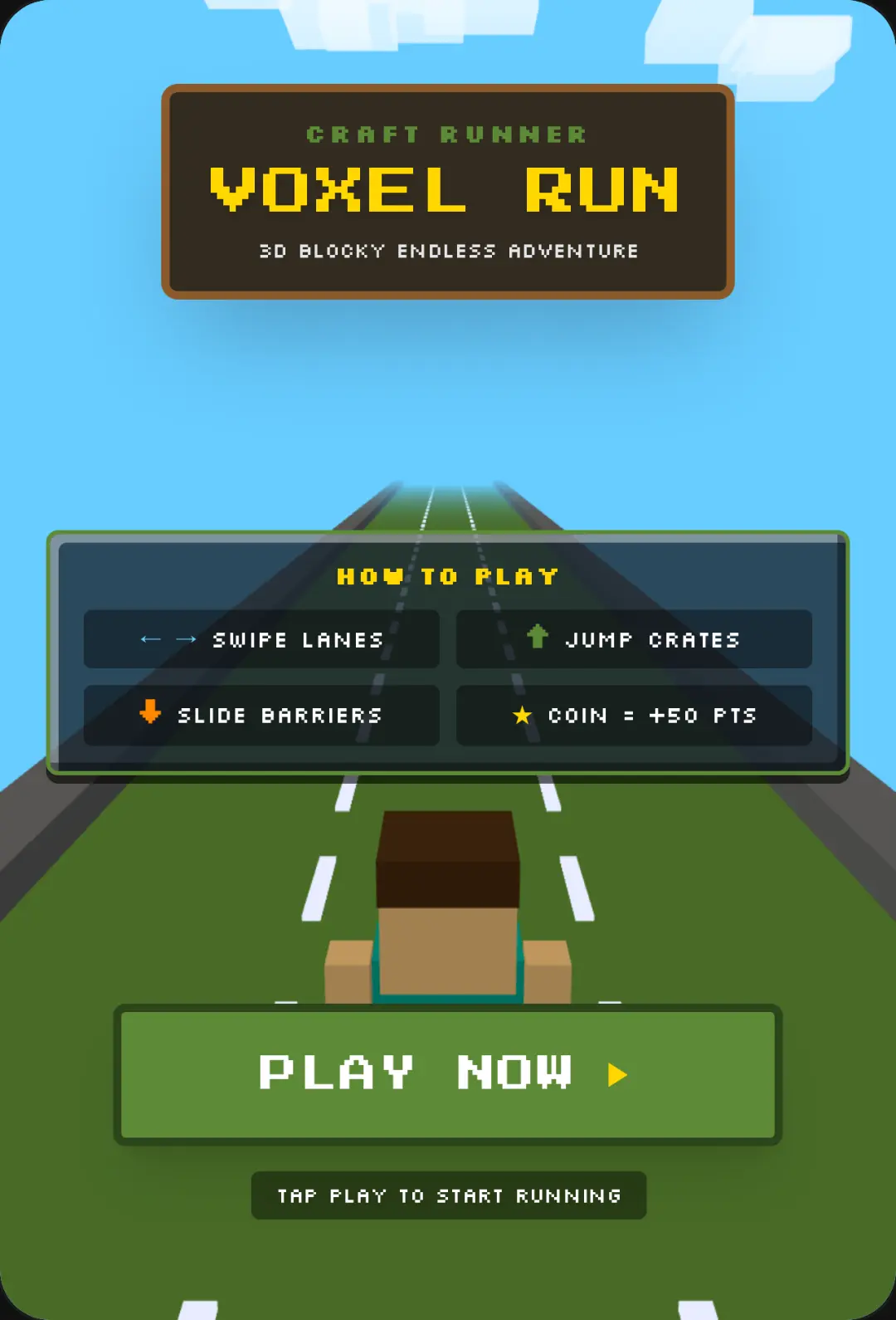 Voxel Runner 3D cover