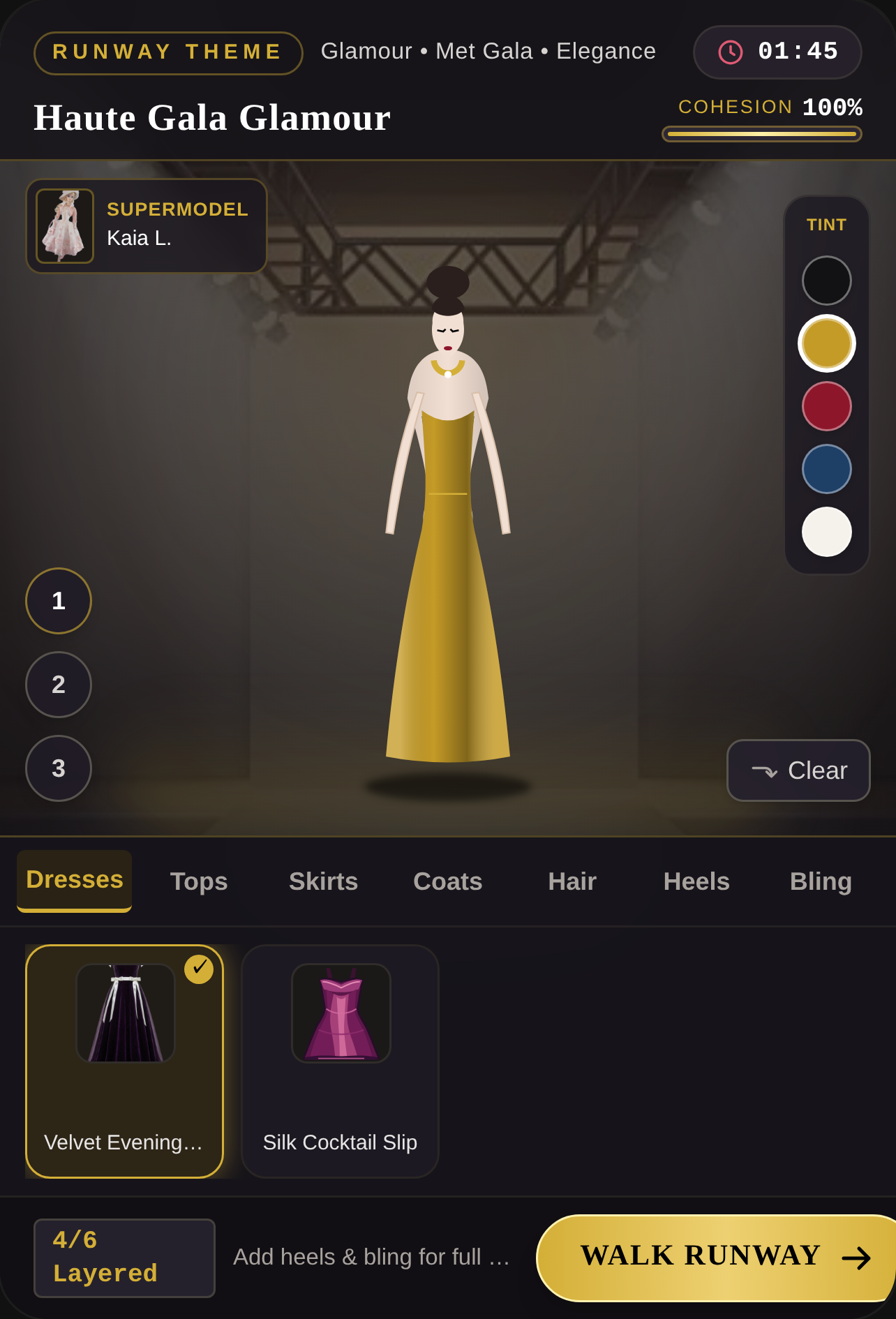Dress to Impress: Runway Couture cover
