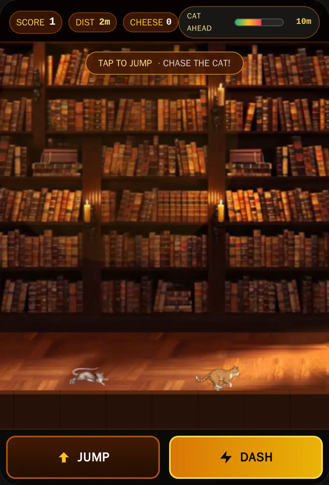 Rat Behind The Cat - Library Chase cover