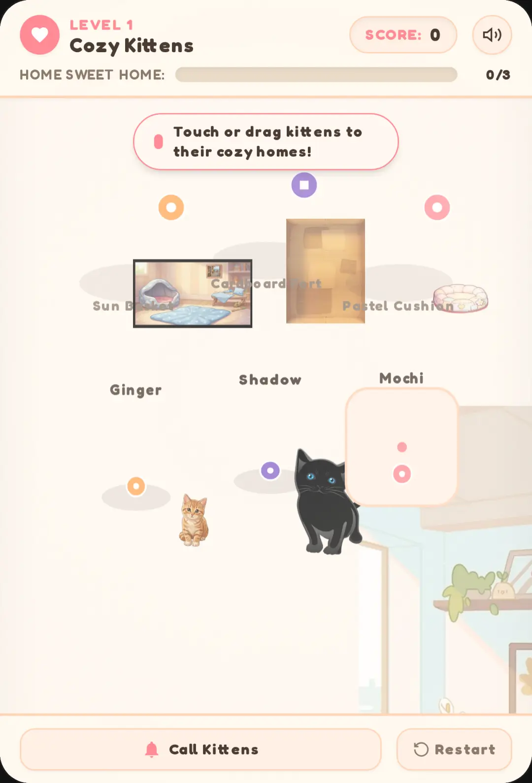 Bring Kitten to their home cover
