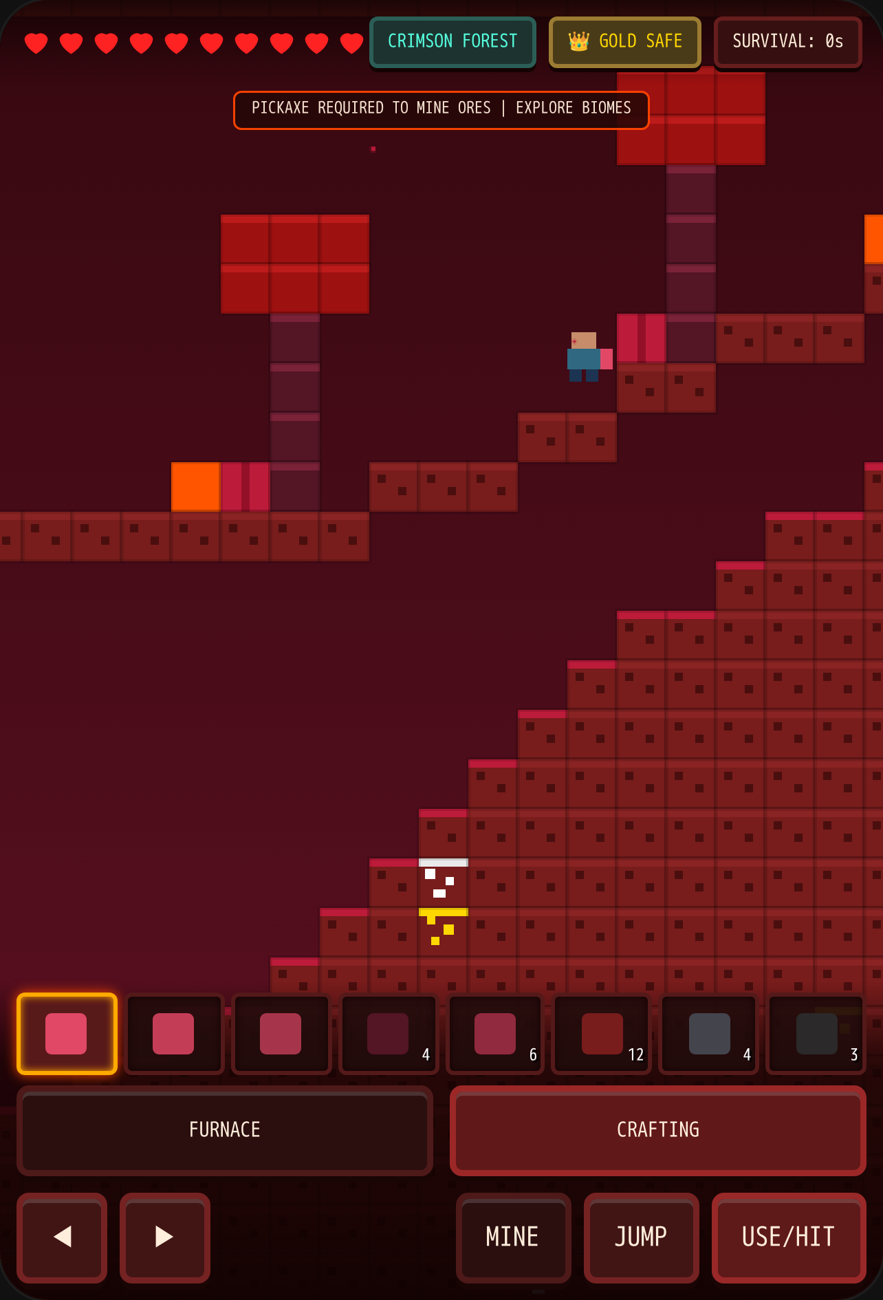Nether Survival 2D (Minecraft) cover