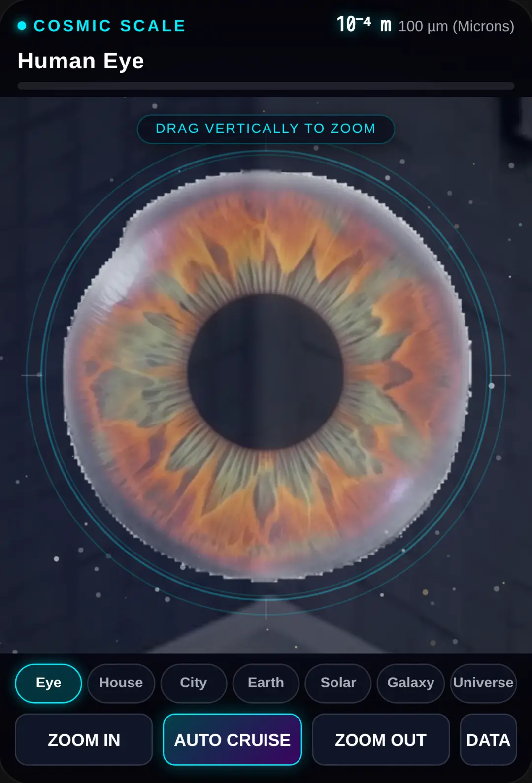 Cosmic Scale: Infinite Zoom cover