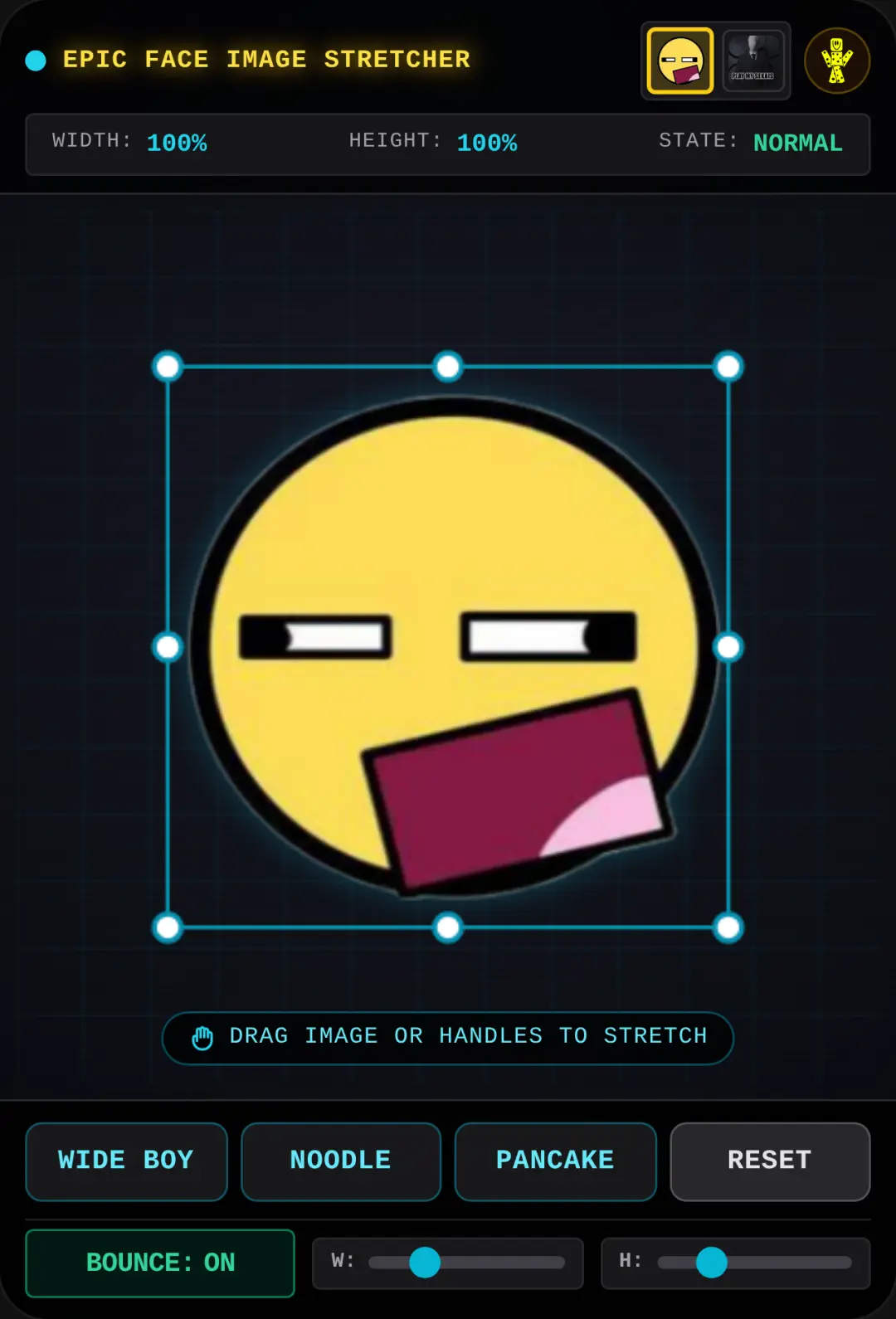 Image Stretcher cover