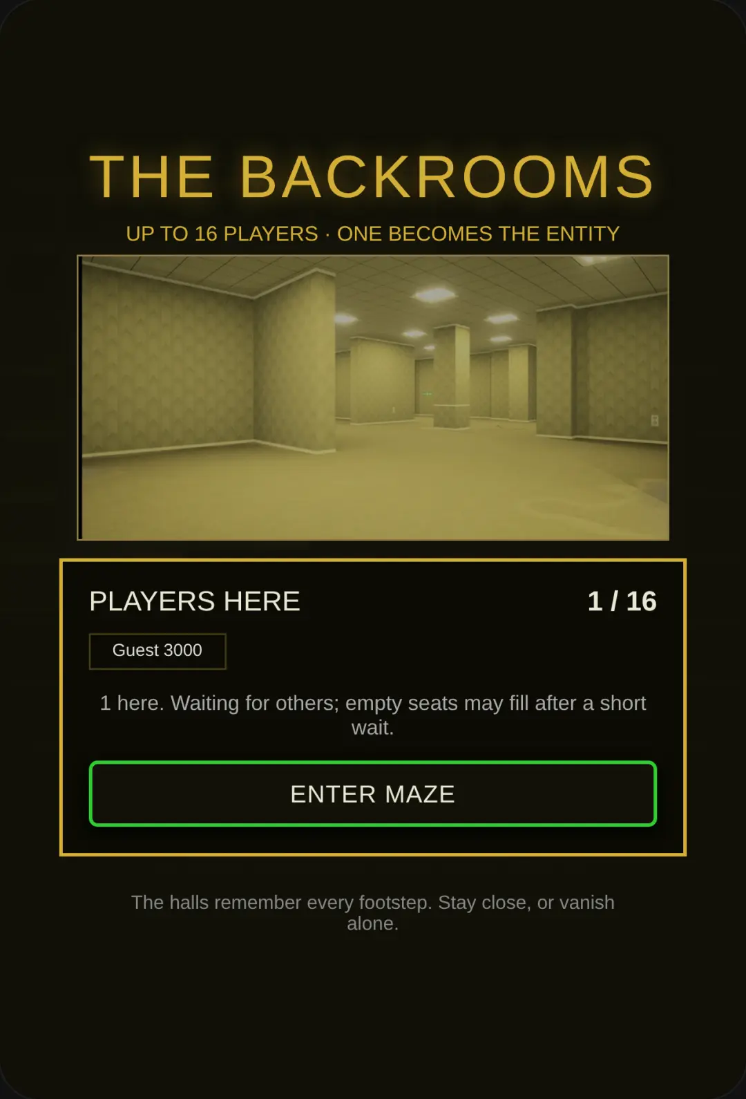 Backrooms 16-Player Horror cover