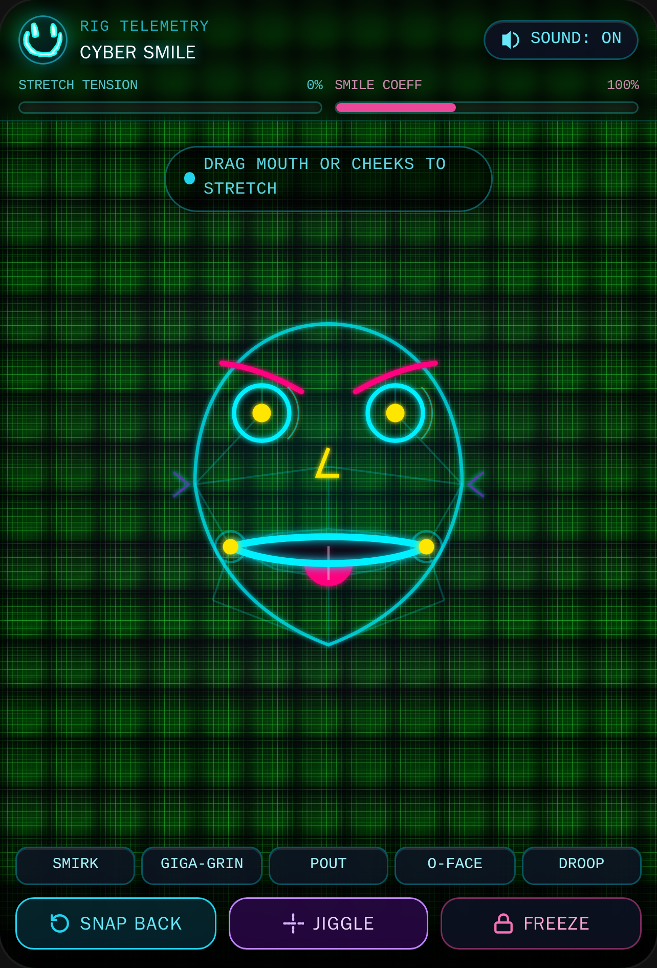 Cyber Smile Stretch cover