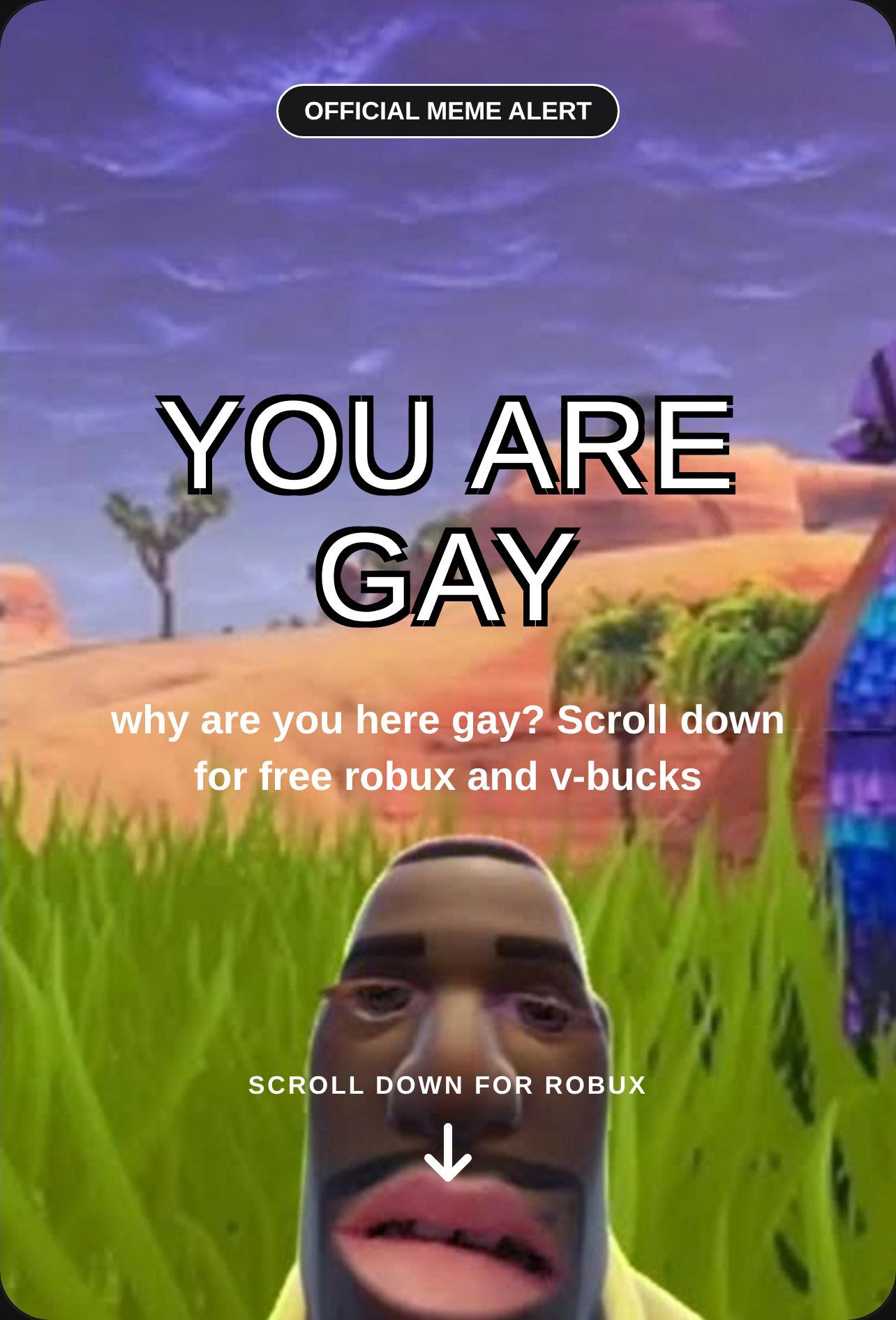 YOU ARE GAY - Meme Experience cover