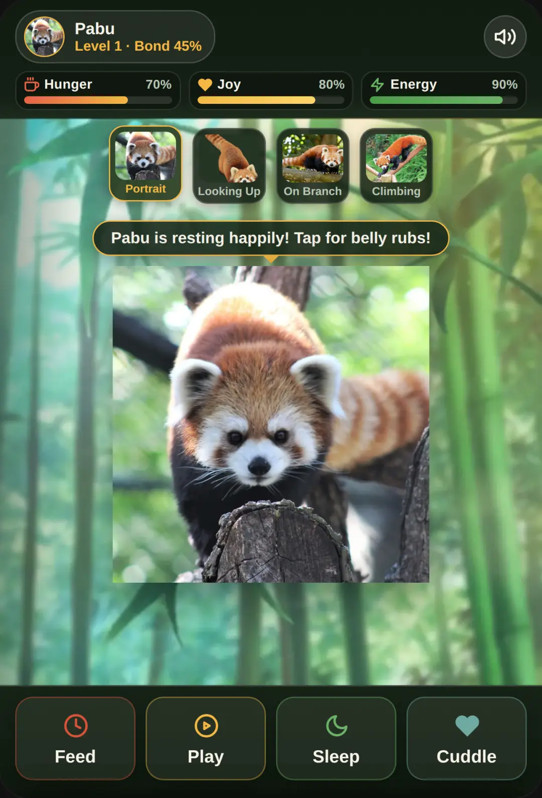 Red Panda Bamboo Sanctuary cover