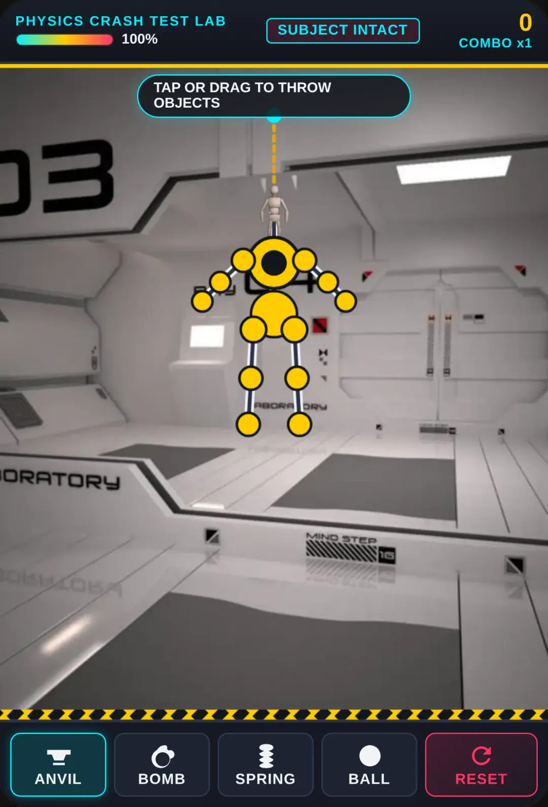 Ragdoll Physics Lab cover