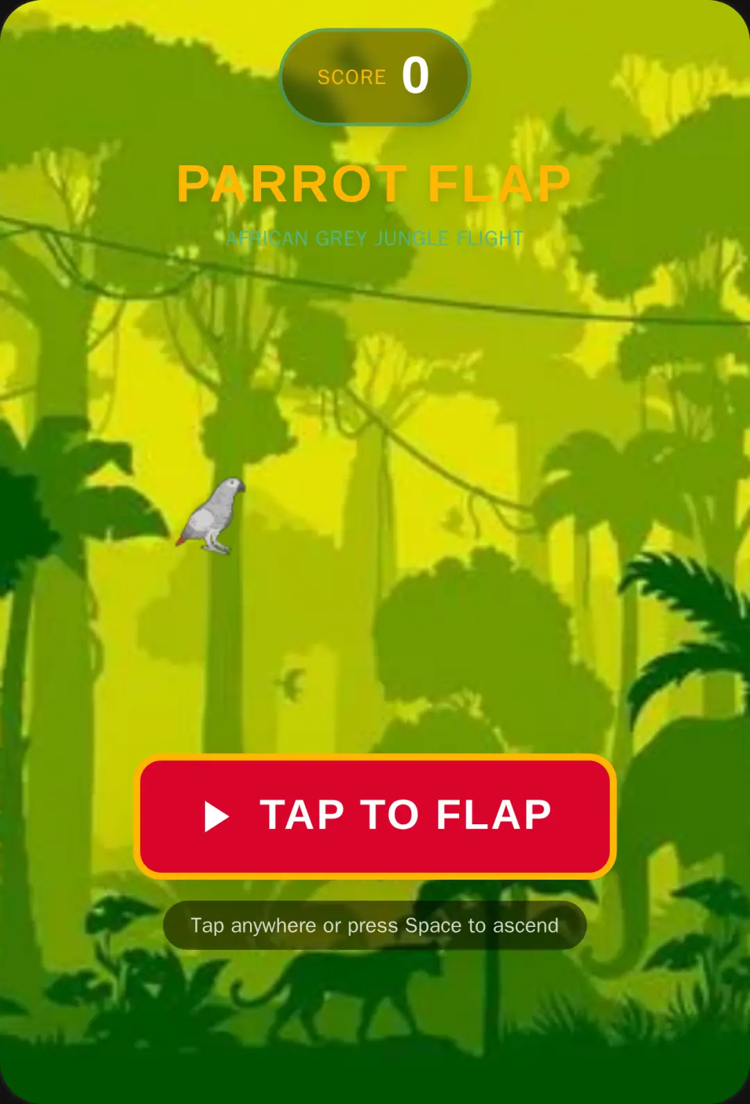 African Grey Flap remix updated cover