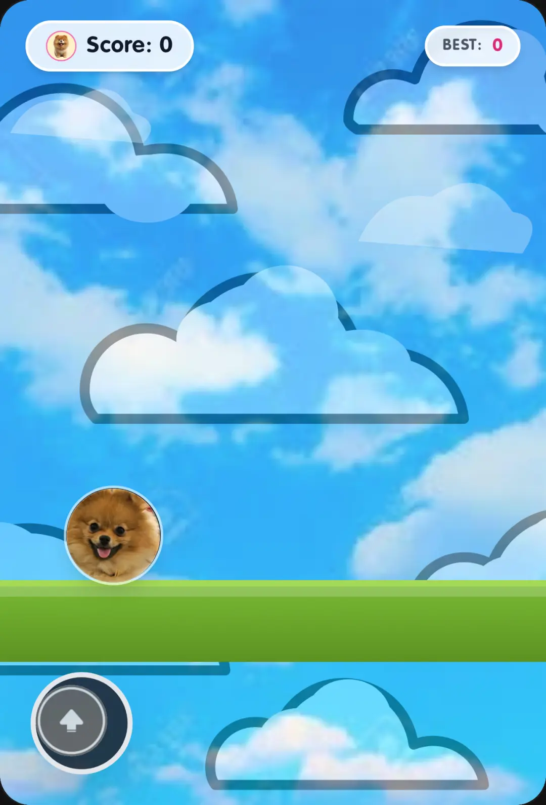 Pomeranian Jump Game cover
