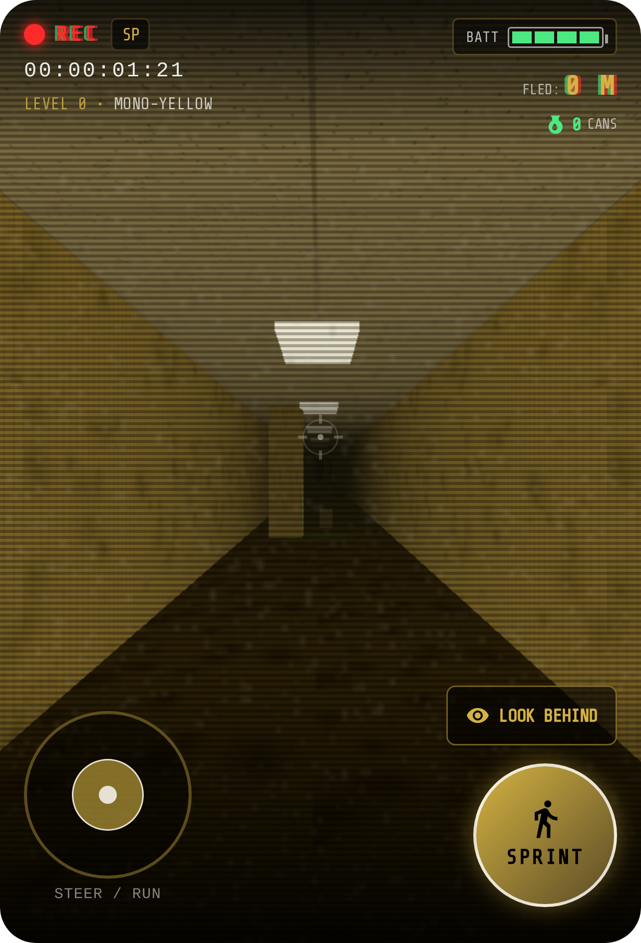 Backrooms Run - Found Footage cover