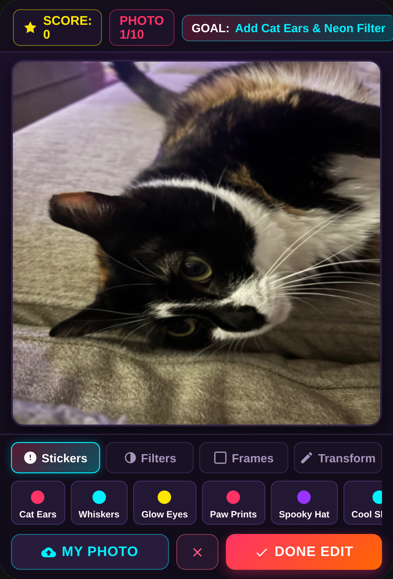 Cat Photo Frenzy cover