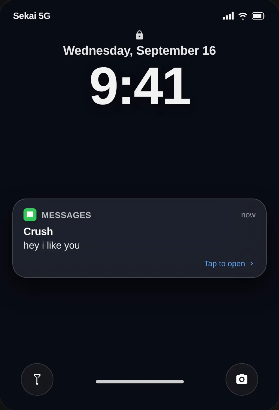 iPhone Lock Screen - Crush Message cover