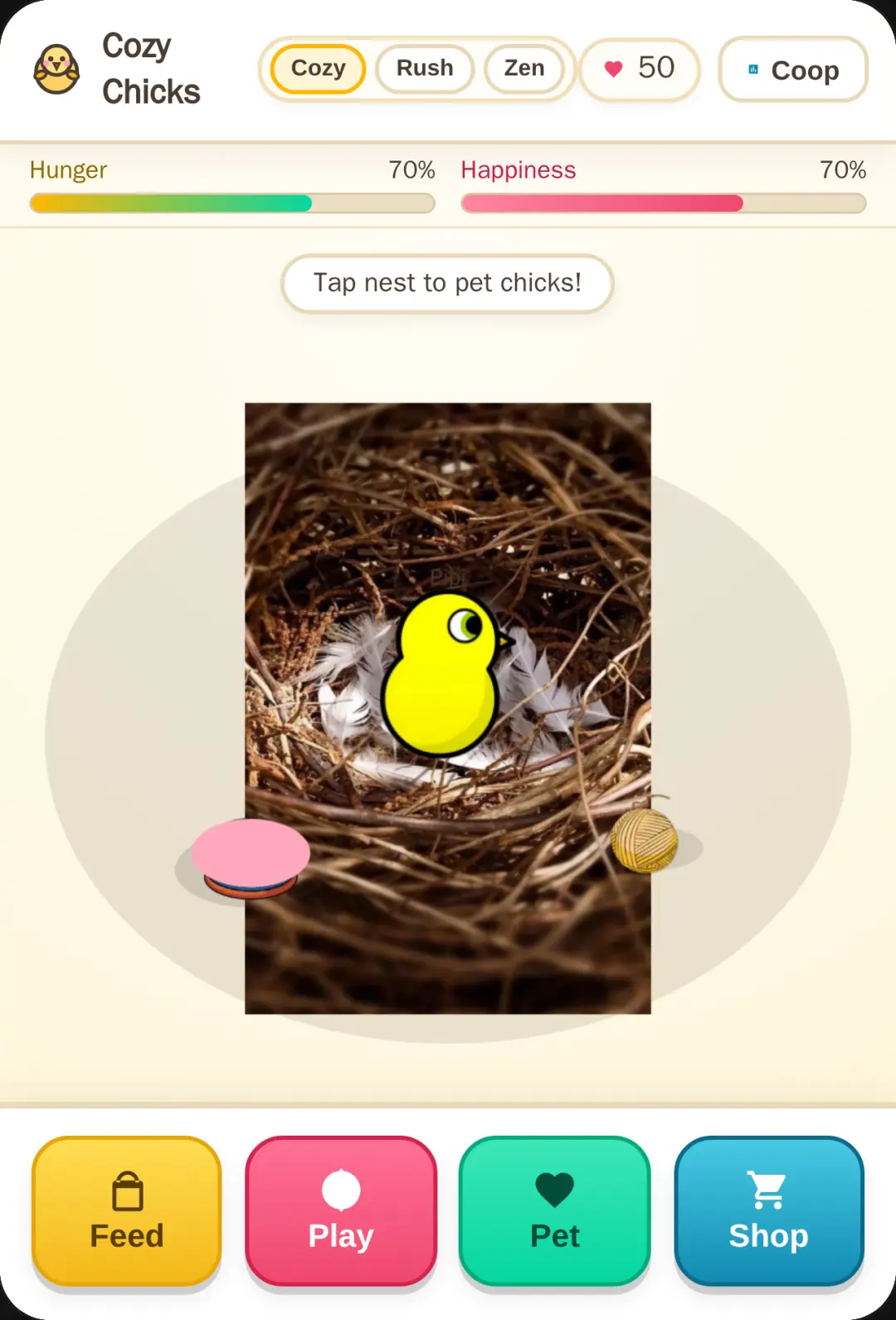 Cozy Chick Care cover