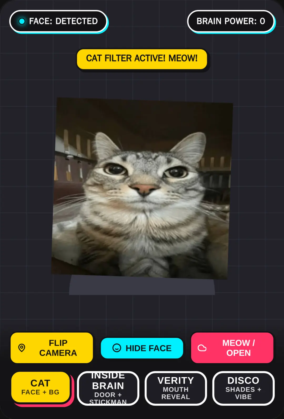 AR Face Filter Cam cover