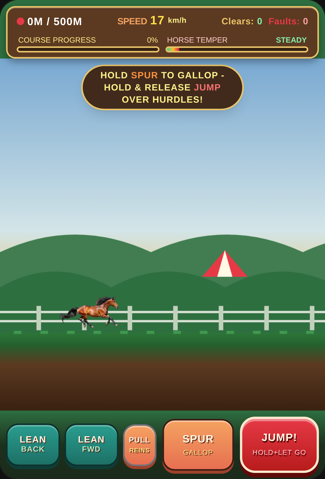 Chaotic Steeplechase Derby cover