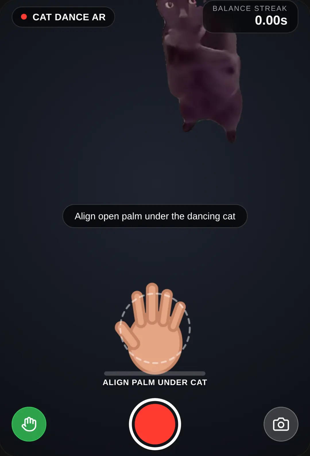 Dance Cat Palm Catch cover