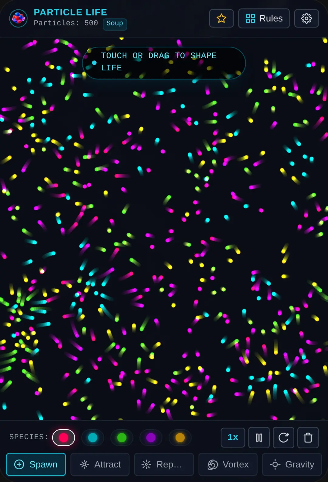 Particle Life Simulation cover