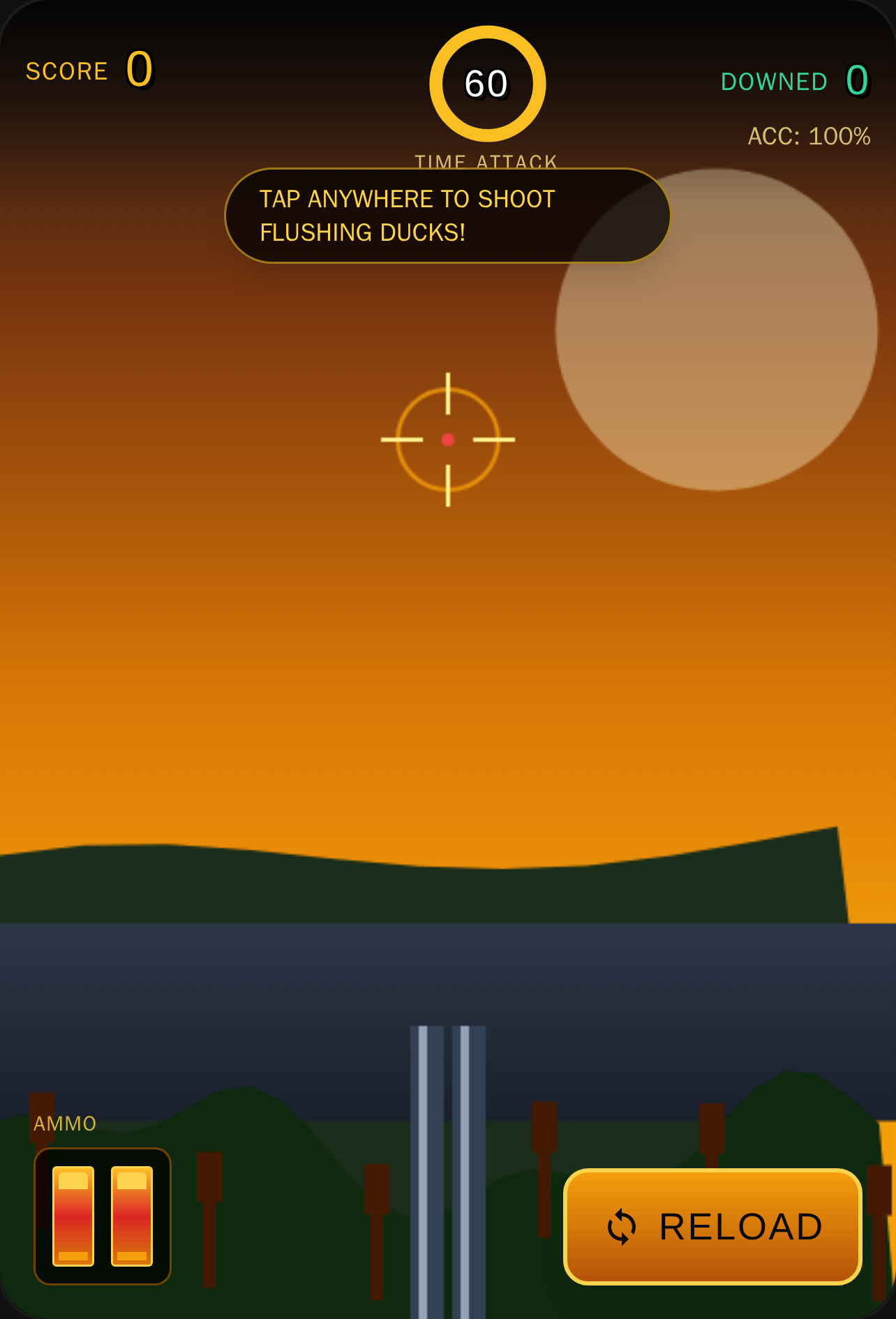 Duck Hunting - Arcade Shooting Gallery cover