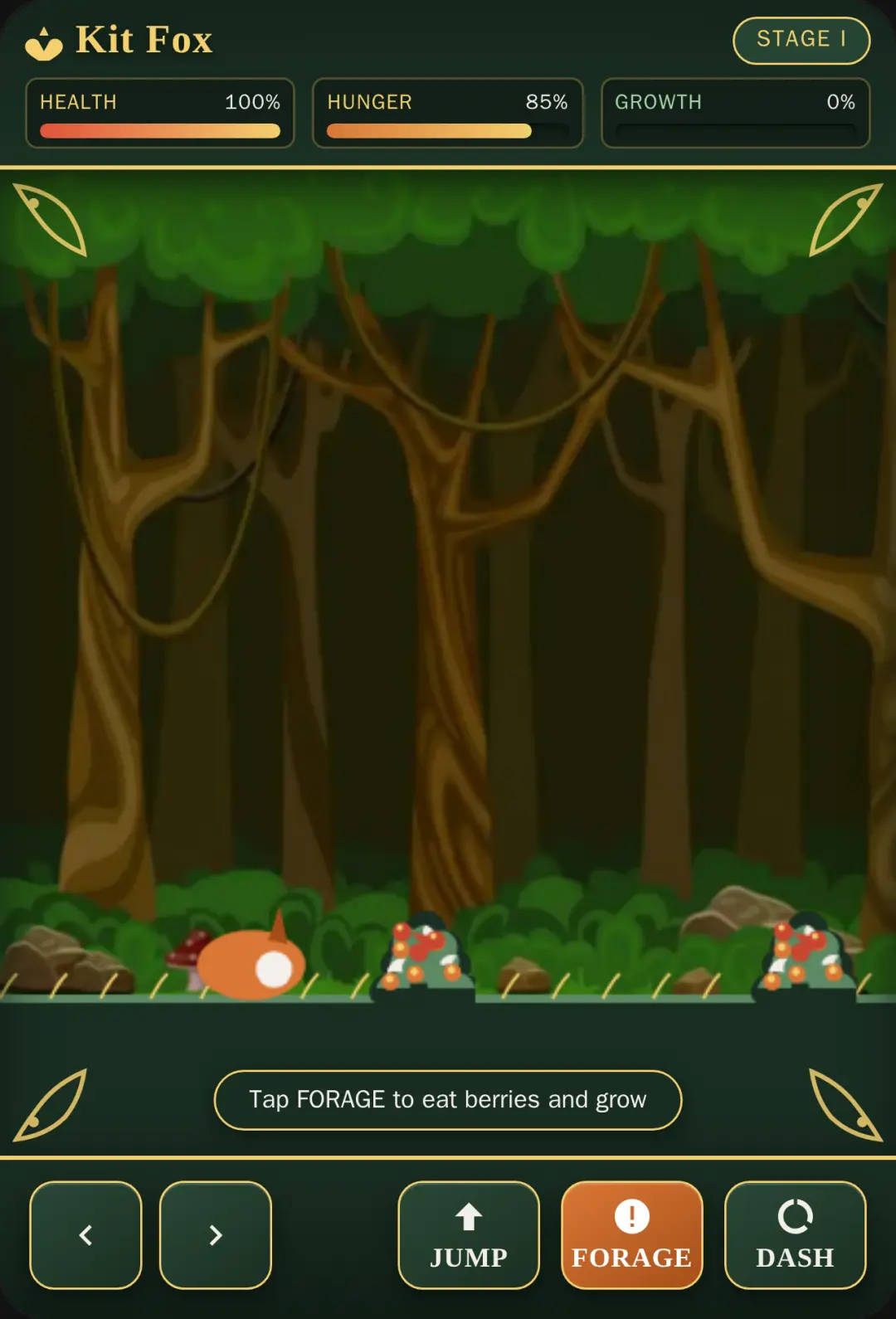 Animal Life: Wild Trail cover