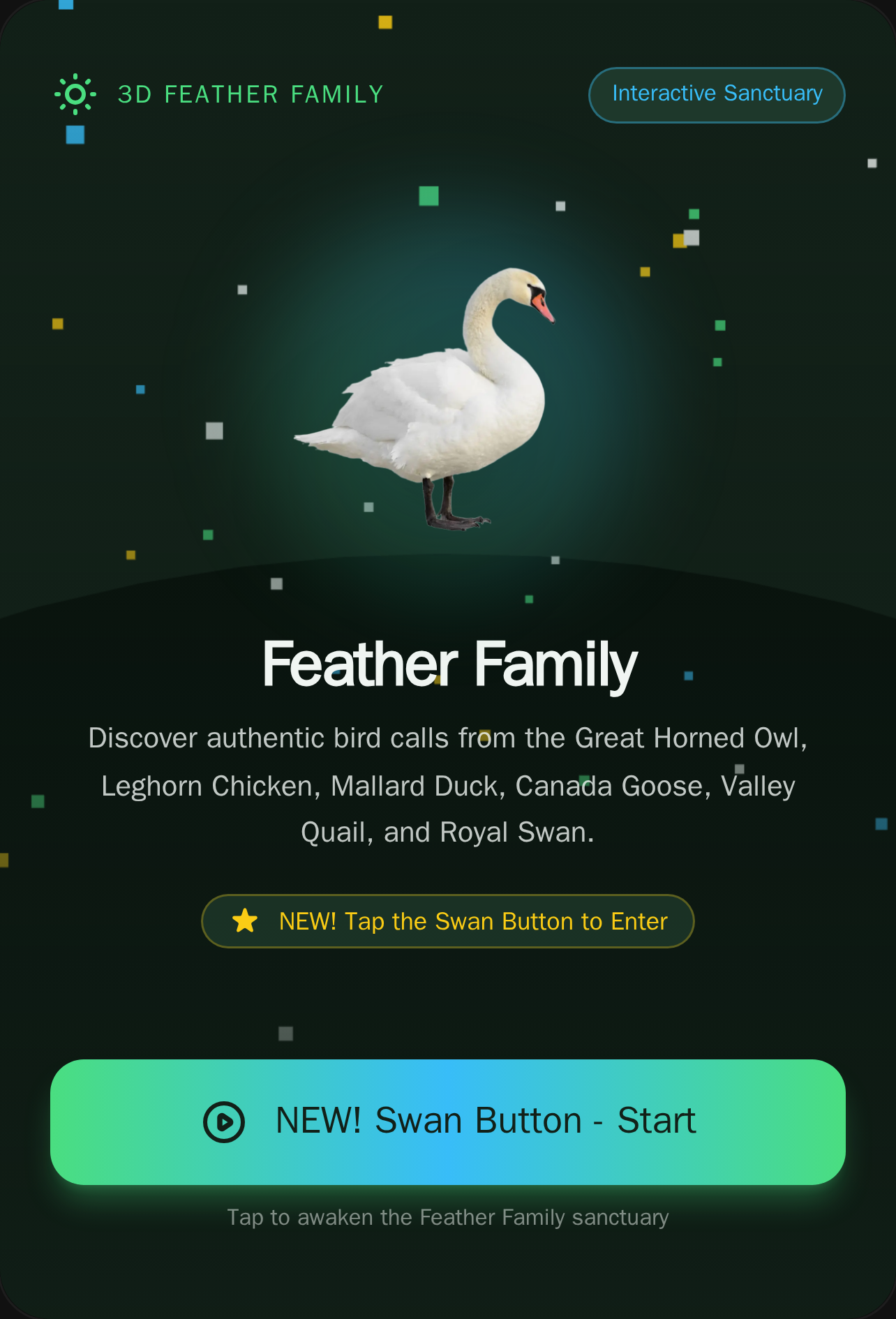 Feather Family 3D cover