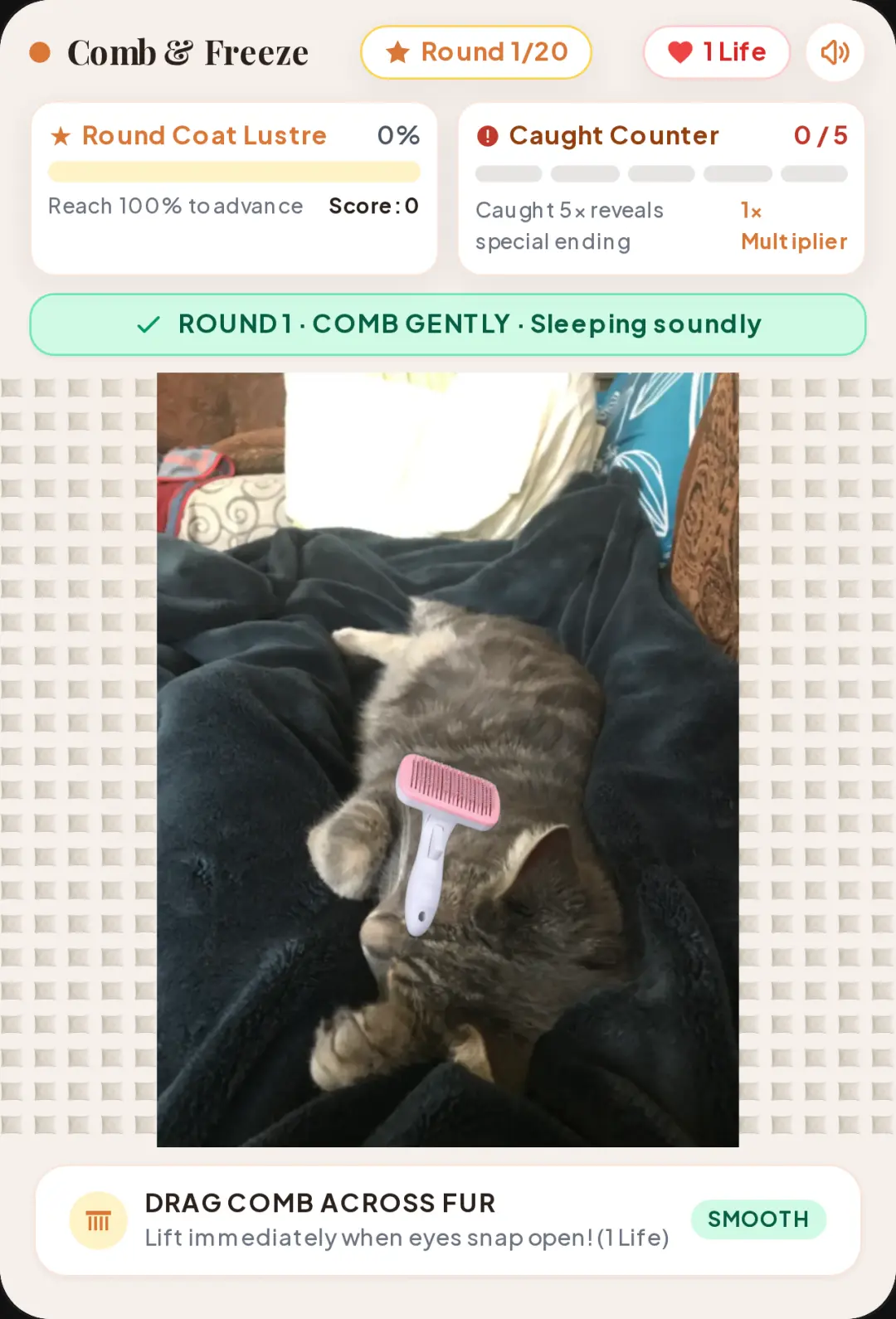 Comb & Freeze · Cozy Cat Grooming Red Light Green Light (might have bugs cuz it's new!!) cover