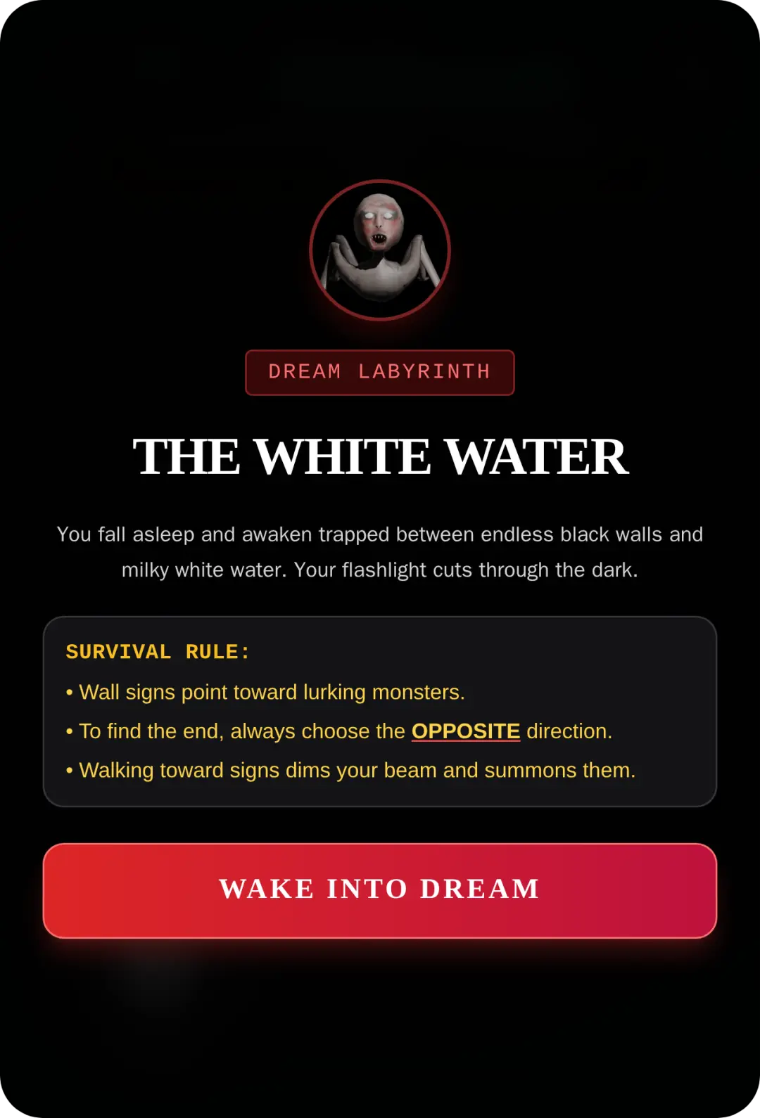 Dream Maze: White Water cover