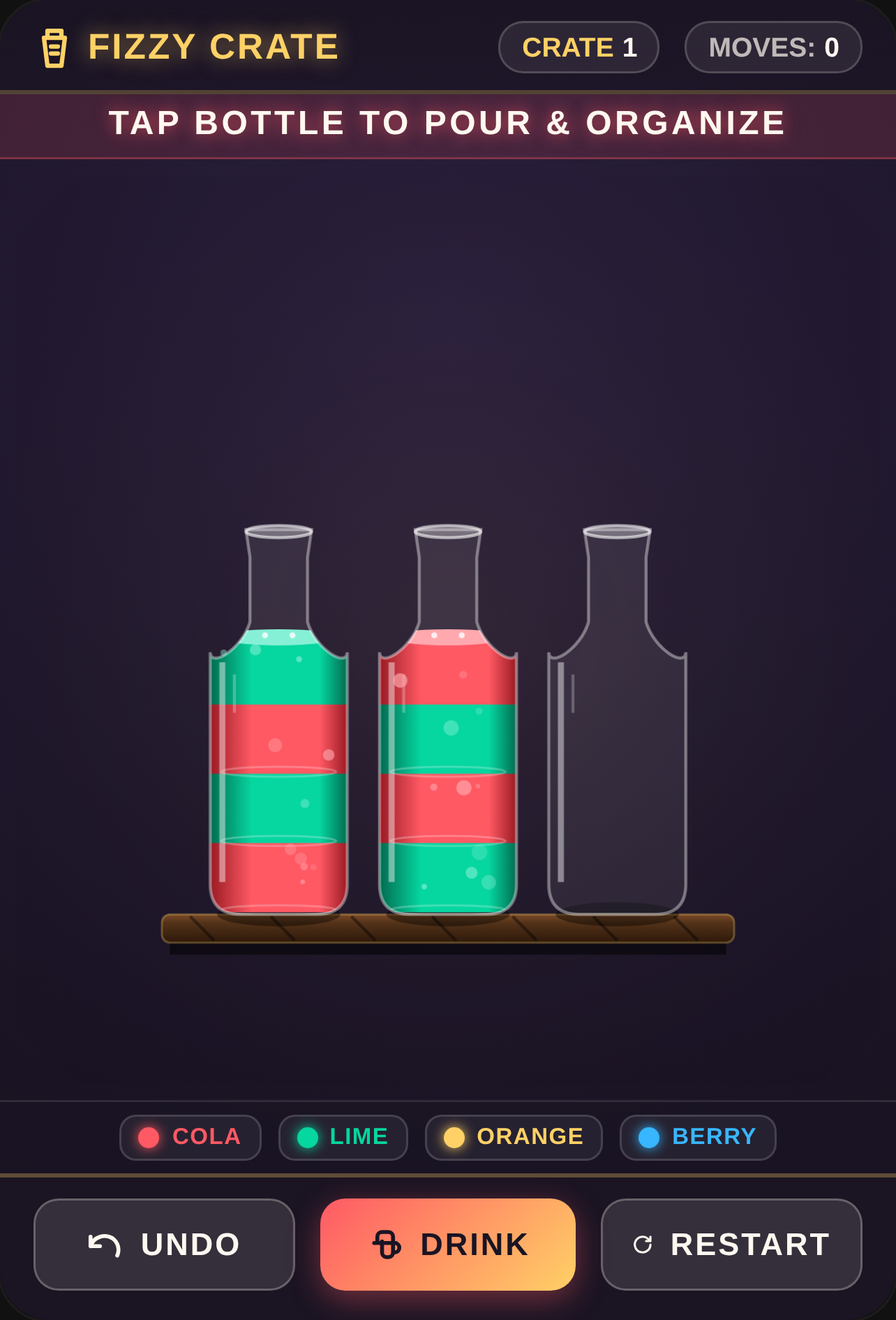 Fizzy Soda Bottle Organizer cover
