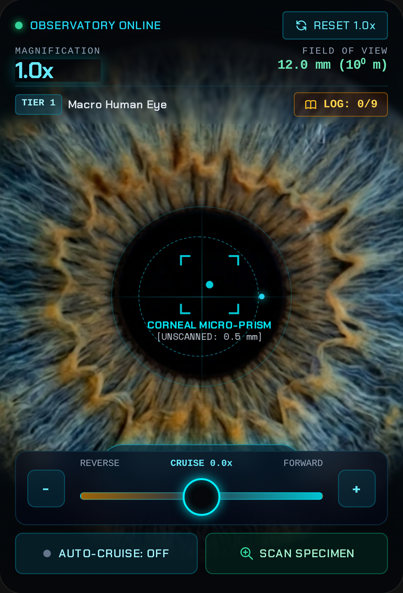 Infinite Scale Observatory cover