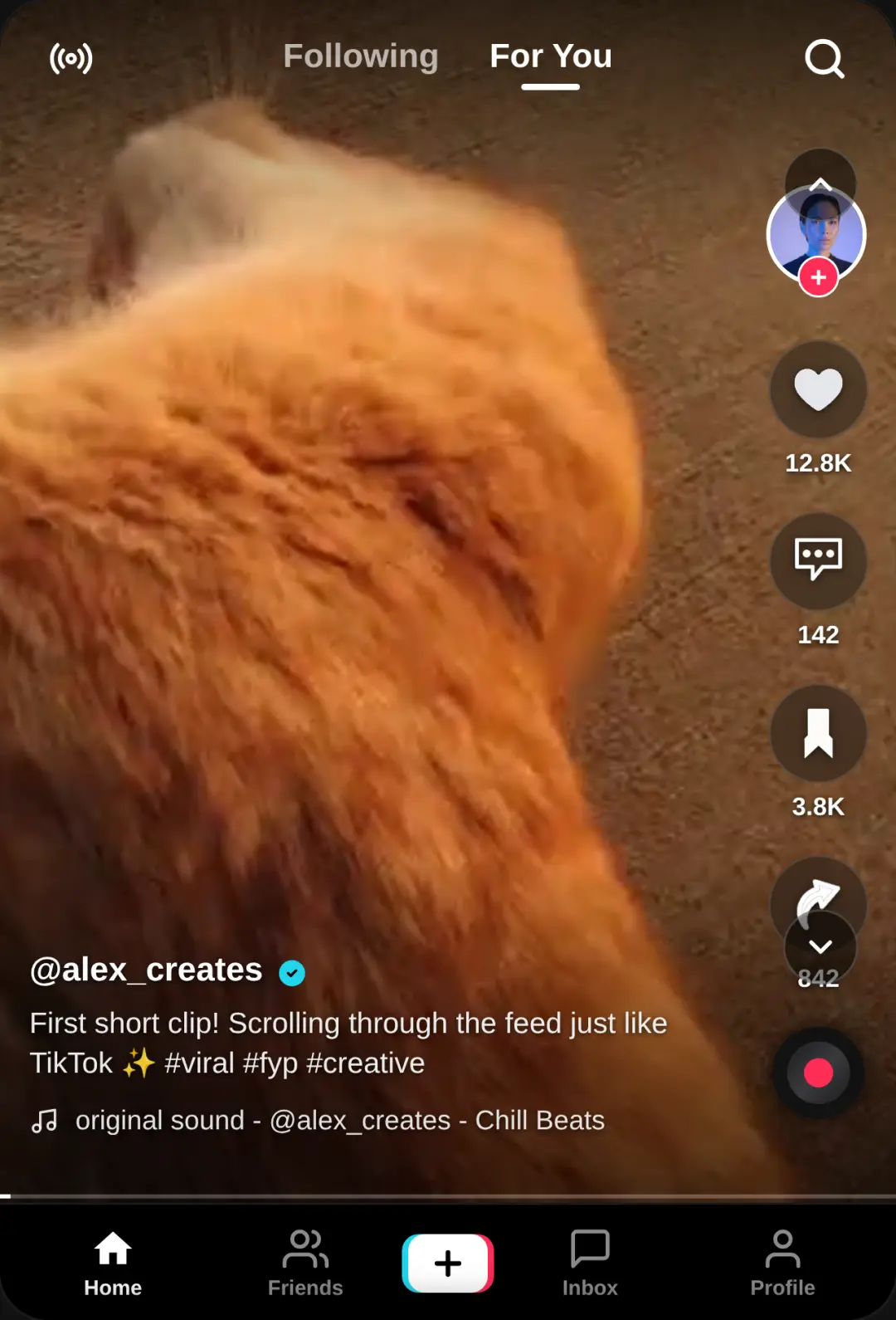 TokFeed - Short Video Feed cover