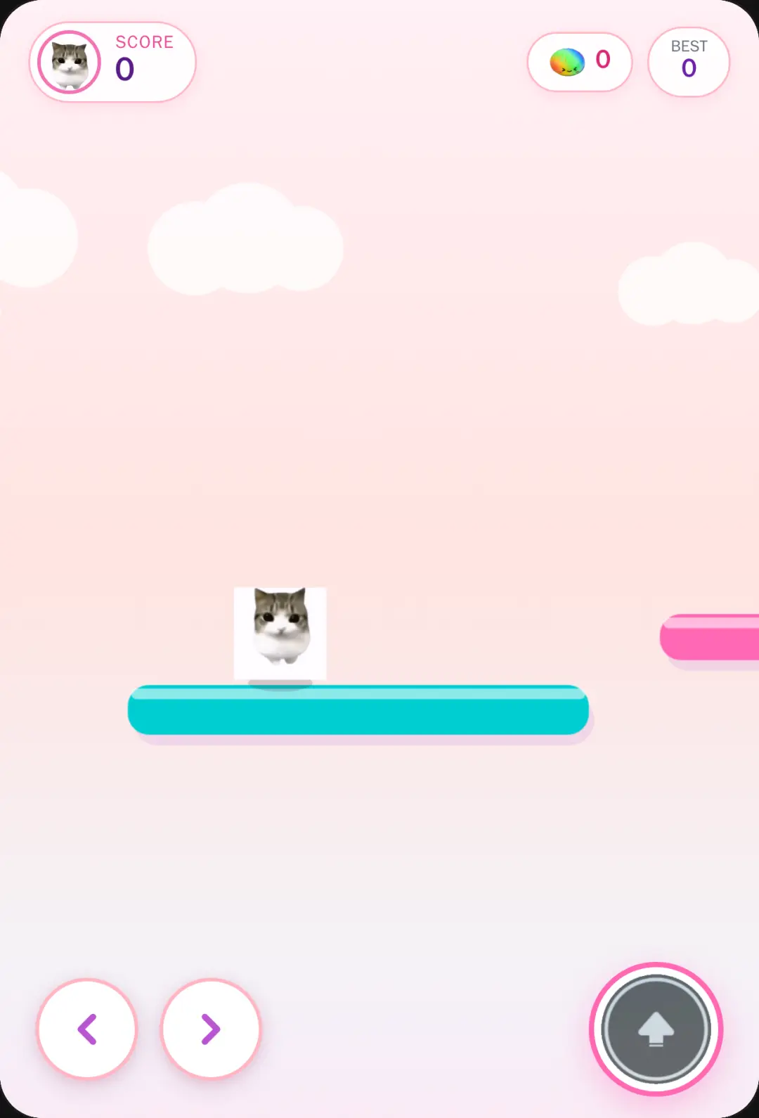 Squishy Cat Leap cover