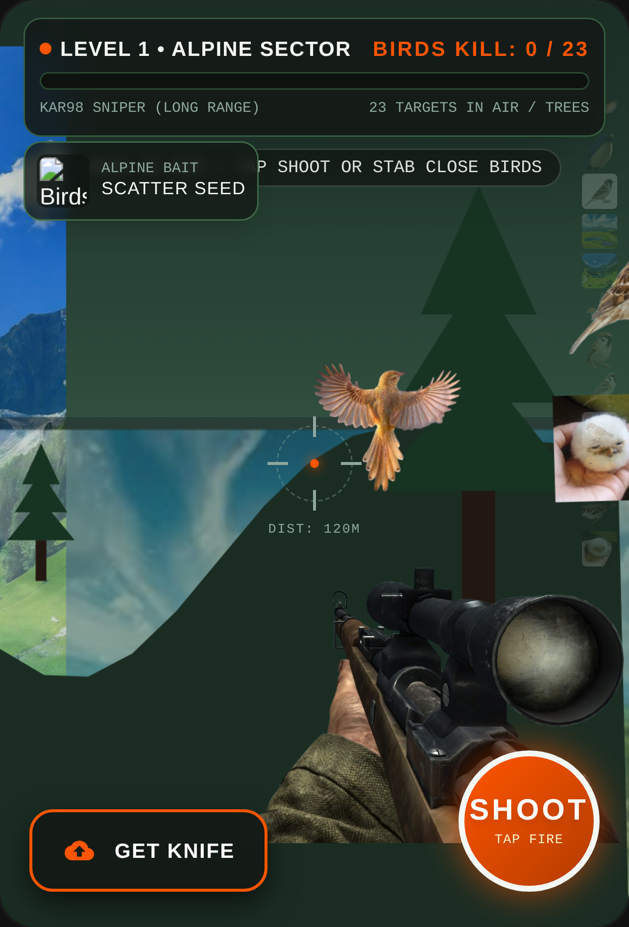 Alpine Marksman: 23 Birds Hunt cover