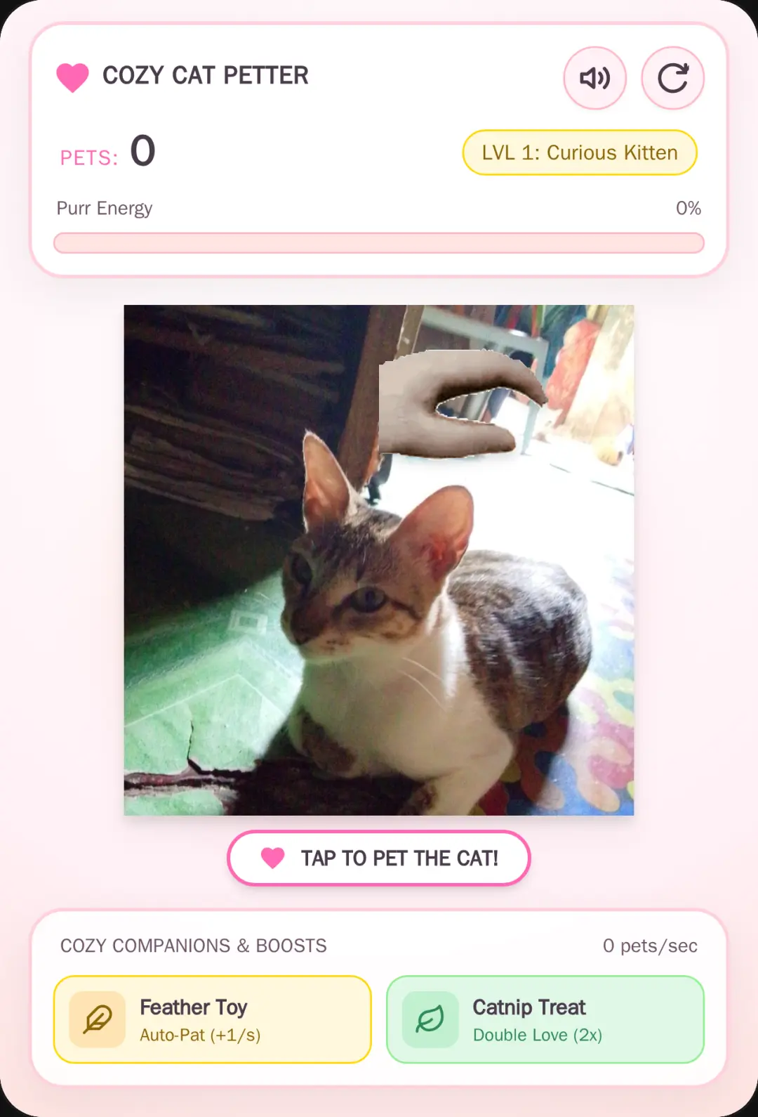 Pet the cat. cover