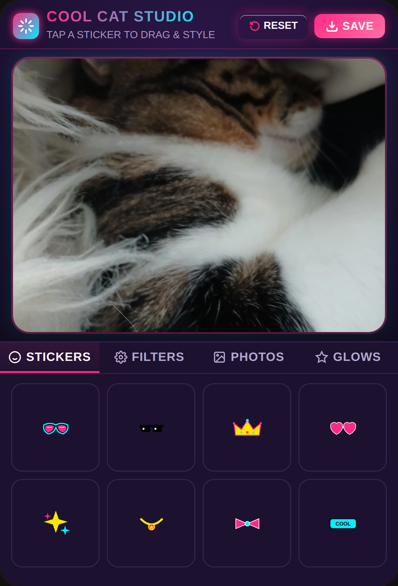 Cool Cat Photo Studio cover