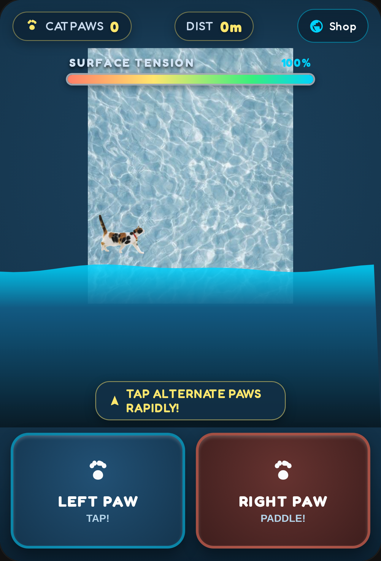 Paws on sea 😼 cover